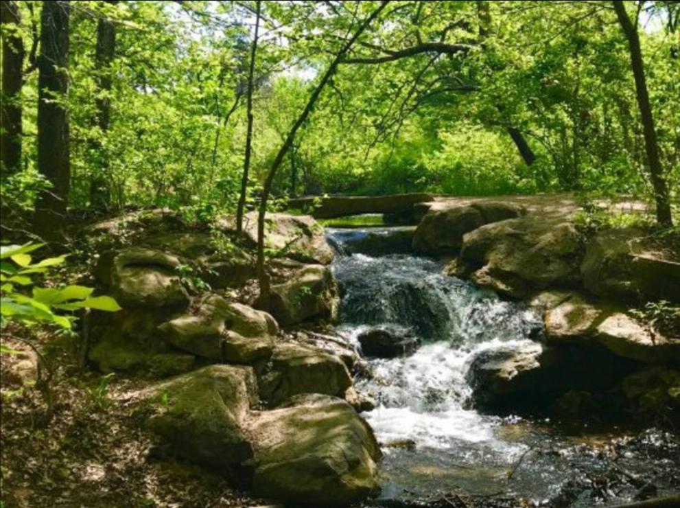 Cedarvale Cabins Turner Falls Davis Ngoại thất bức ảnh